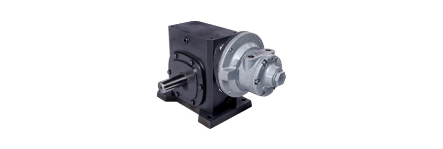 Gear Air Motors