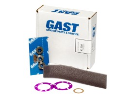 Gast K200 - 1AM Service Kit (4 vane)