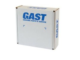 Gast AF592S - Pressure Regulator used on Piston and Roc units